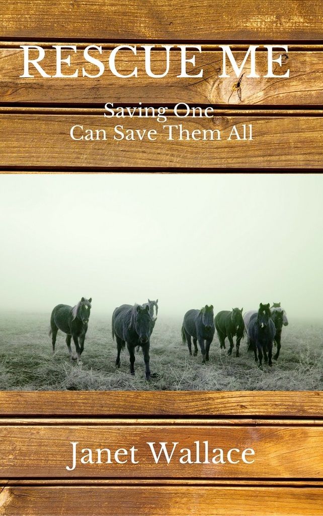 Rescue Me by Wallace (Ebook) Read free for 30 days