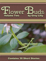 Flower Buds: Volume Two: Flower Buds, #2