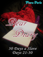 Dear Diary - Thirty Days A Slave (Days 21-30)