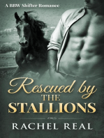 Rescued by the Stallions (Blackwood Stallions, #5)
