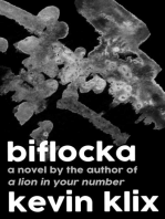 Biflocka: A Novel