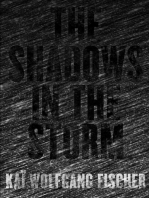 The Shadows in the Storm