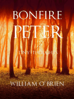 Bonfire Peter: Peter: A Darkened Fairytale, #13