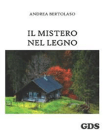 Il mistero nel legno