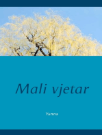 Mali Vjetar