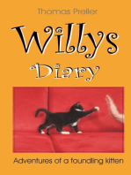 Willys Diary: Adventures of a foundling kitten