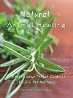 Natural Animal Healing