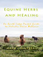 Equine Herbs & Healing