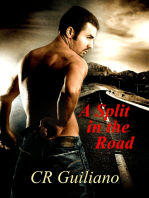 A Split in the Road, Book 3 of Vampire Wars