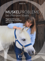 Muskelprobleme bei Pferden lösen