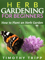 Herb Gardening For Beginners