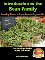 Introduction to the Bean Family: Growing Beans in Your Garden Organically