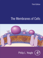 The Membranes of Cells
