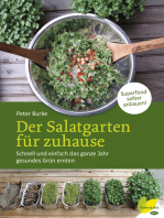 Der Salatgarten für zuhause
