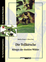 Die Tollkirsche - Königin der dunklen Wälder