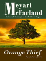 Orange Thief