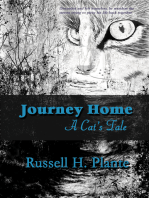 Journey Home, A Cat's Tale