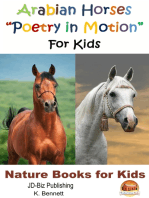 Arabian Horses "Poetry in Motion" For Kids