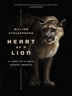 Heart of a Lion: A Lone Cat’s Walk Across America