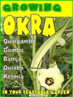 Growing Okra in your vegetable garden: Also called Gombo, Bamja, Quiabo, Ketmia, Quingambo