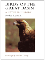 Birds of the Great Basin