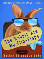 The Rabbit Ate My Flip-Flops: The Rabbit Ate My ..., #2