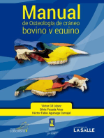 Manual de osteología de cráneo bovino y equino