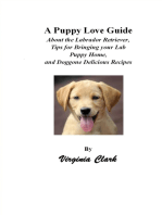 A Puppy Love Guide; About the Labrador Retriever, Tips for Bringing Your Lab Puppy Home, and Doggone Delicious Recipes