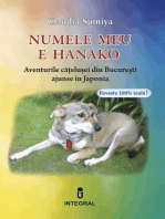 Numele meu este Hanako. Aventurile cățelușei din București ajunse în Japonia