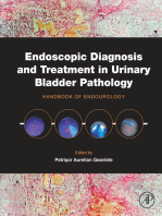 Endoscopic Diagnosis and Treatment in Urinary Bladder Pathology: Handbook of Endourology