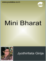Mini Bharat