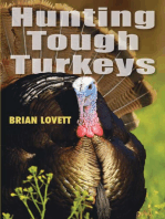 Hunting Tough Turkeys