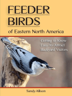 Feeder Birds of Eastern North America: Getting to Know Easy-to-Attract Backyard Visitors