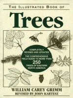 Illustrated Book of Trees: The Comprehensive Field Guide to More than 250 Trees of Eastern North America