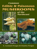 Common Edible & Poisonous Mushrooms of the Northeast
