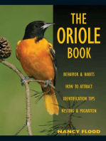 The Oriole Book