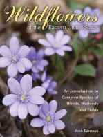 Wildflowers of the Eastern United States: An Introduction to Common Species of Woods, Wetlands and Fields