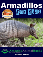 Armadillos For Kids