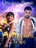 A Dragon's Choice: The Paladin Dragons