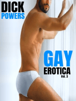 Gay Erotica Vol. 3