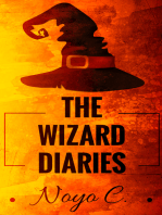 The Wizard Diaries