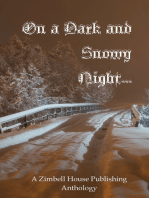 On a Dark and Snowy Night...