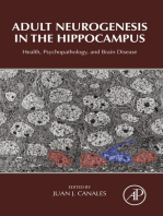 Adult Neurogenesis in the Hippocampus: Health, Psychopathology, and Brain Disease