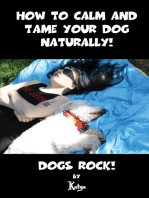 How to Calm and Tame Your Dog Naturally!