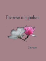 Diverse Magnolias
