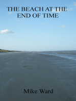 The Beach at the End of Time