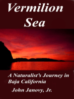 Vermilion Sea: A Naturalist’s Journey in Baja California