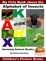 My First Book about the Alphabet of Insects: Amazing Animal Books - Children's Picture Books