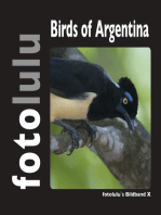 Birds of Argentina: fotolulus Bildband X