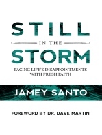 Still in the Storm: Facing Life's Disappointments With Fresh Faith